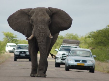 Graphic: Panoramio.com